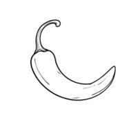 Single Pale Yellow Chili Pepper Illustration vector