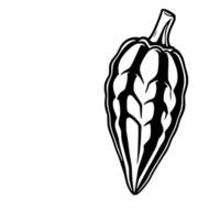 Stylized Black And White Cocoa Pod Illustration vector
