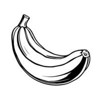 Single Banana Illustration A Black And White Drawing vector