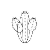 Line Drawing Of A Cactus Plant With Three Spiky Segments vector