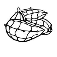 Line Art Drawing Of Two Textured Nutshells vector