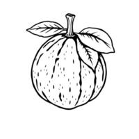 Line Art Drawing Of A Single Citrus Fruit With Leaves vector