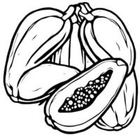 Line Art Illustration of Ripe Papayas Whole and Sliced vector