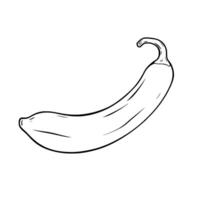 Single Ripe Yellow Banana Fruit Illustration vector