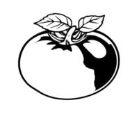Simple Line Drawing Of A Single Tomato With Leaves vector