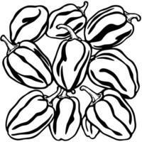 A Collection of Gray Bell Peppers Fresh Harvest vector
