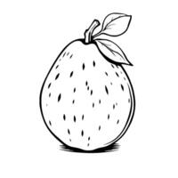 Line Art Illustration Of A Single Guava Fruit With Leaves vector