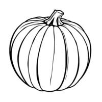 Pink Pumpkin Illustration A Simple Elegant Design vector