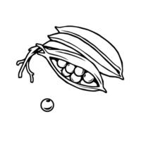 Fresh Green Peas in Open Pods Art Illustration vector
