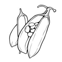 Line Art Illustration Of Peas In An Open Pod vector