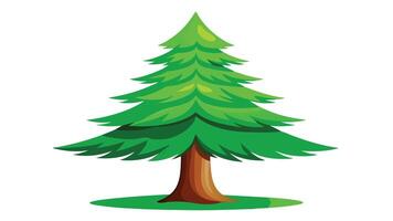 Pine Tree Illustration White Background vector