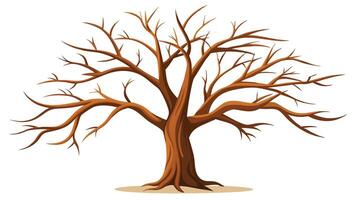 a bare tree with no leaves on a white background vector