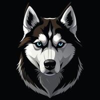 the head of a husky dog is shown on a black background vector