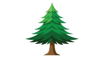 pine tree icon Pine Tree Illustration White Background vector