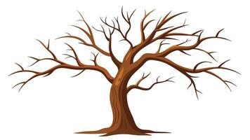 Dry Tree Illustration tree with no leaves on a white background vector