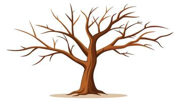 bare tree with no leaves on a white background vector