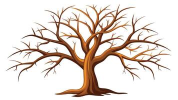 Dry Tree Illustration White Background bare tree with no leaves on a white background vector