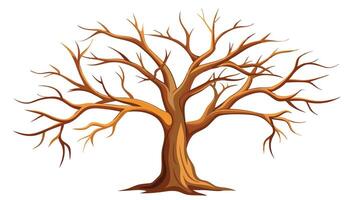 a tree with no leaves on a white background vector