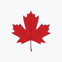 Illustration of a red maple leaf on a single color background vector