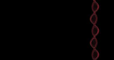 View of chain of DNA gyrating on black background. Loop video