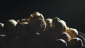 Pistachios nuts gyrating in black background wit a intimate light video