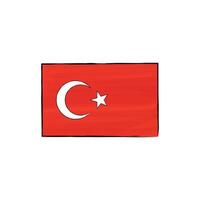 Flag of Turkey with outline on a white background. Hand-drawn illustration in sketch style. Isolated image, perfect for posters, web design, education, infographics, prints, and presentations. vector