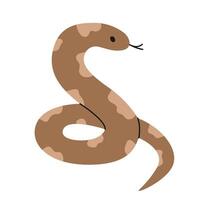 Cute spotted brown snake on white background. Isolated ball python with tongue out. Pet, exotic animal in simple style. Reptile character. Zoo, wild nature. Flat illustration vector