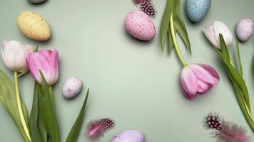 Easter eggs and tulips gently rotating on pastel green background video