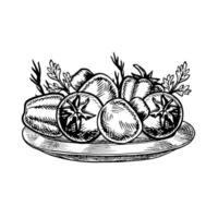Vegetables on a tray, peppers, tomatoes, garlic and mushrooms. graphics. Hand-drawn black and white illustrations. On a white background. For menus, posters, or labels, recipes and packages. vector
