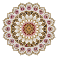 Mandala fractal design element on transparent background png