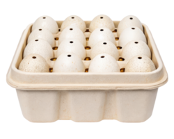 Carton of sixteen speckled eggs with top holes on a transparent background png