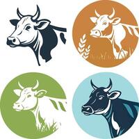 A Set of Cow Illustrations for Design Projects vector