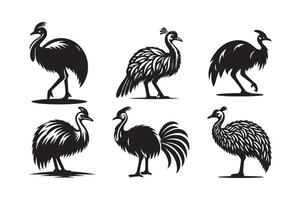 Cassowary Silhouette for Environmental Branding vector
