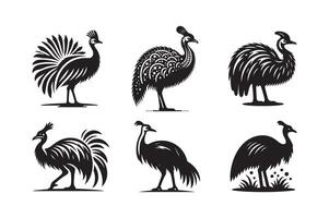 Minimalist Cassowary Silhouette Design vector