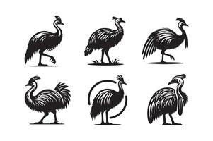 Abstract Cassowary Silhouette Art vector