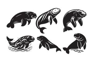 Albino Turtle Silhouette for Custom Branding vector