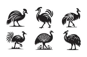 Cassowary Silhouette for Web Design vector
