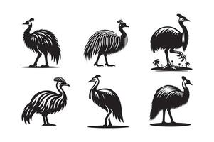 Cassowary Silhouette for Print and Web Use vector