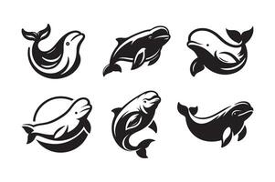 Beluga Whale Silhouette for Web Design vector