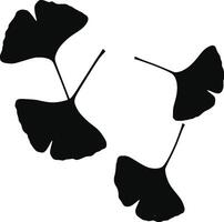 Silhouettes of ginkgo leaves set on a white surface. vector