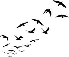 A group of birds in silhouette soaring through the sky vector