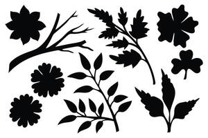 Branch leaf plants silhouettes set isolated flat illustration on white background. vector