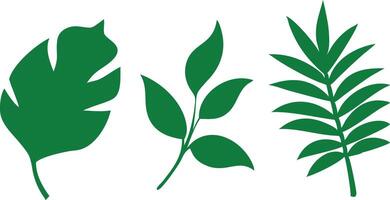 Green Tropical Leaf Set Palm, Twig and Broadleaf Silhouettes on White Background vector