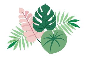 Tropical leaves arrangement with monstera, palm and philodendron on white background vector