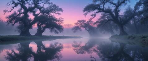 A river with trees and fog at sunset photo
