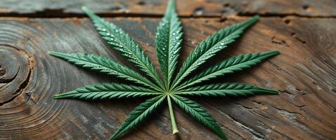 A marijuana leaf on a wooden surface photo