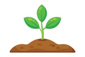 Sprout With Green Leaves on Soil Isolated on a White Background, Isolated vector