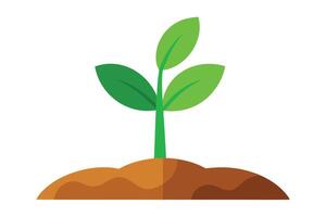 Growing Green Seedling on Soil Isolated on White Background vector