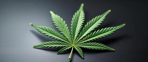A leaf of marijuana is on a black surface. photo