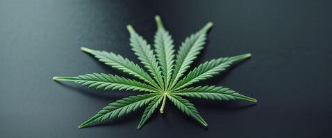A leaf of marijuana is on a black surface photo